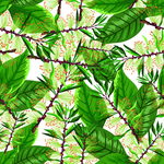 热带植物