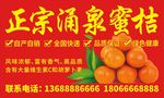 涌泉蜜桔门头广告喷绘布