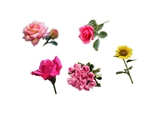 花