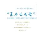 文字排版