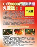 赣南脐橙