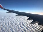 天空之翼