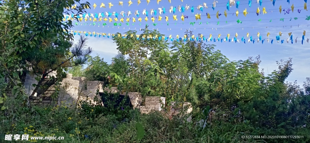 秋景