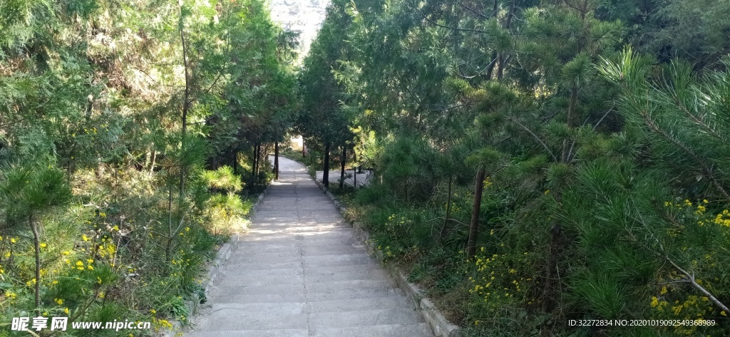 树
