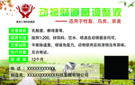 动物肠道菌调整液不干胶贴