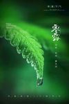 寒露
