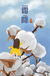 霜降