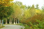 秋季公园