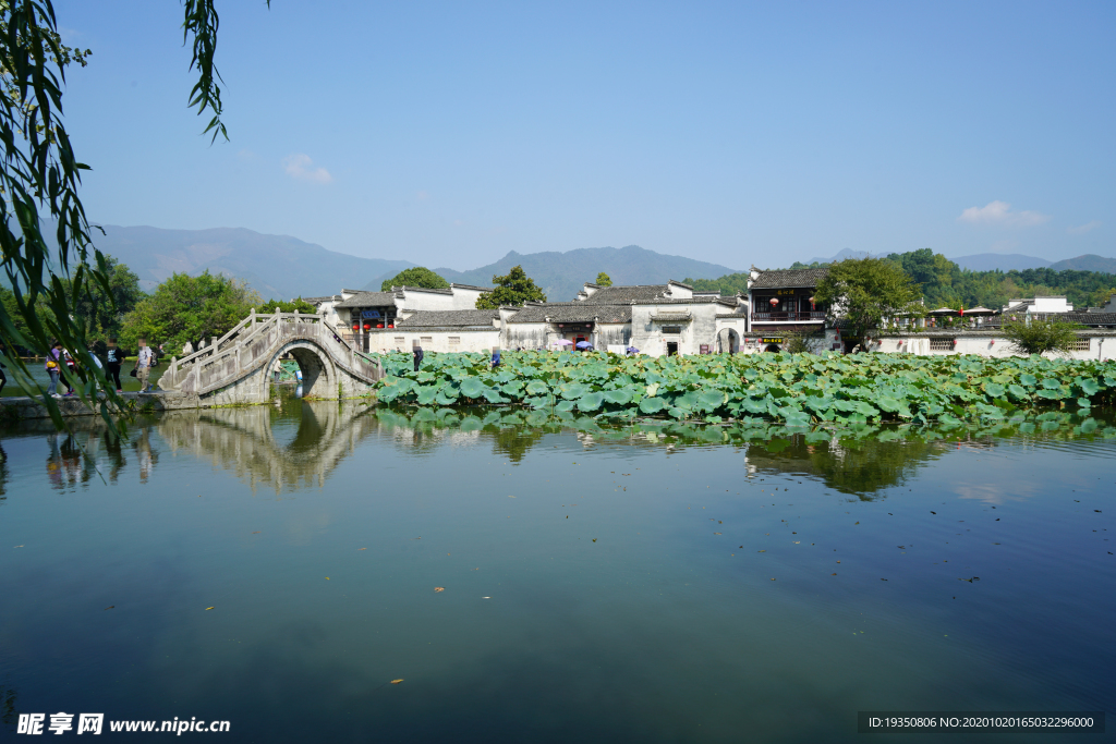 黄山宏村南湖荷塘画桥和建筑景色