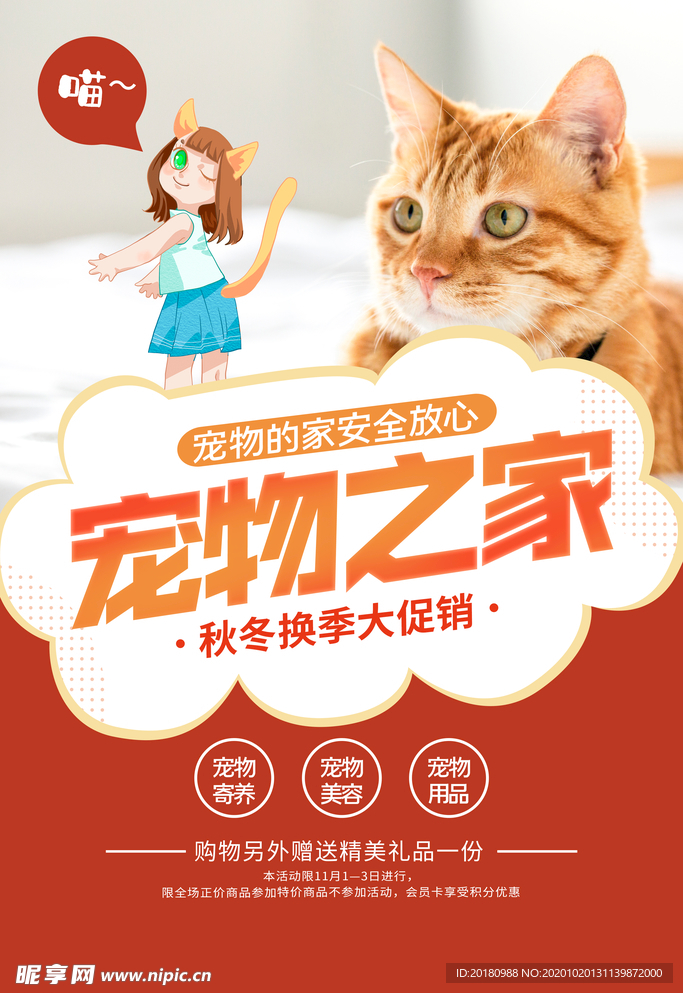 宠物之家