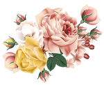 鲜花