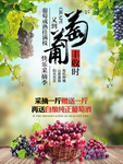 葡萄水果海报