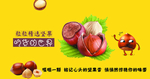 吃货的世界