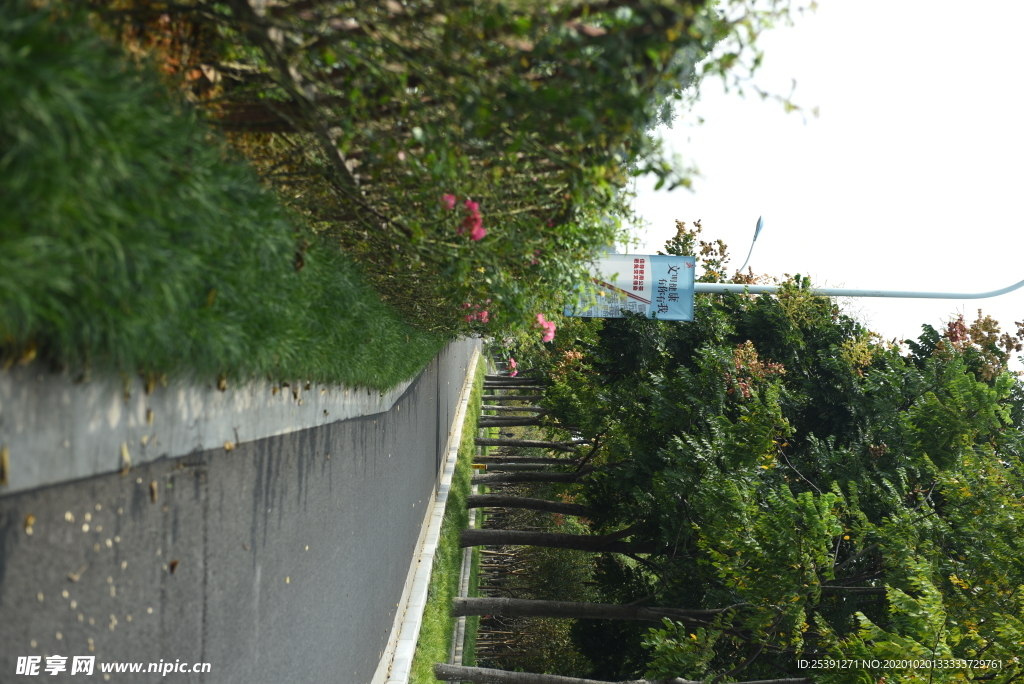 新建的南山路非机动车道