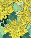 黄色盛开菊花