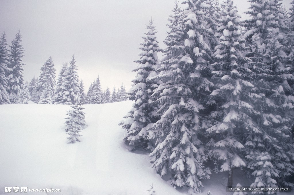 下雪场景