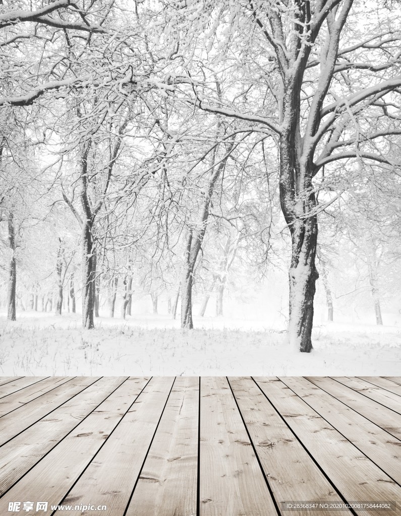 下雪场景