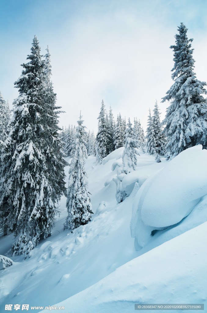 下雪场景