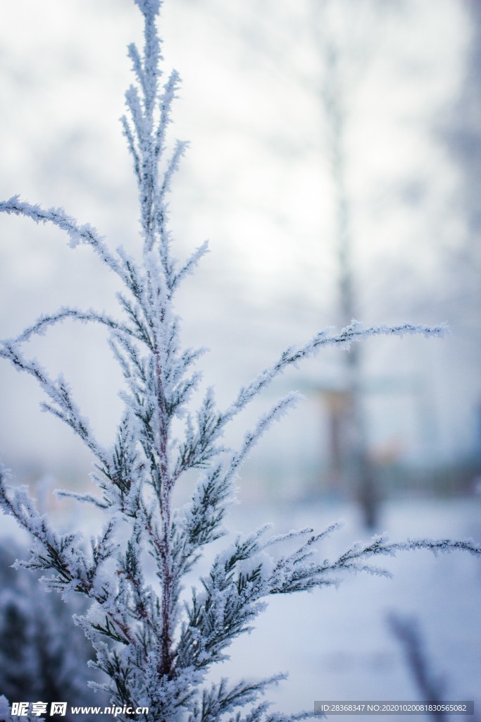 下雪场景