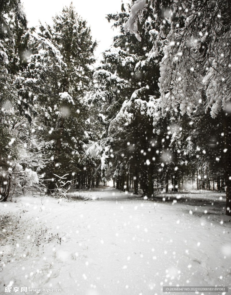 下雪场景