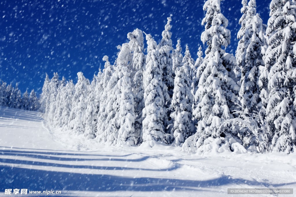 下雪场景