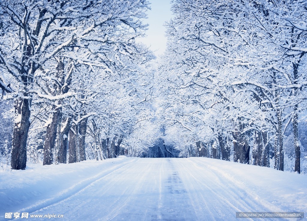 下雪场景