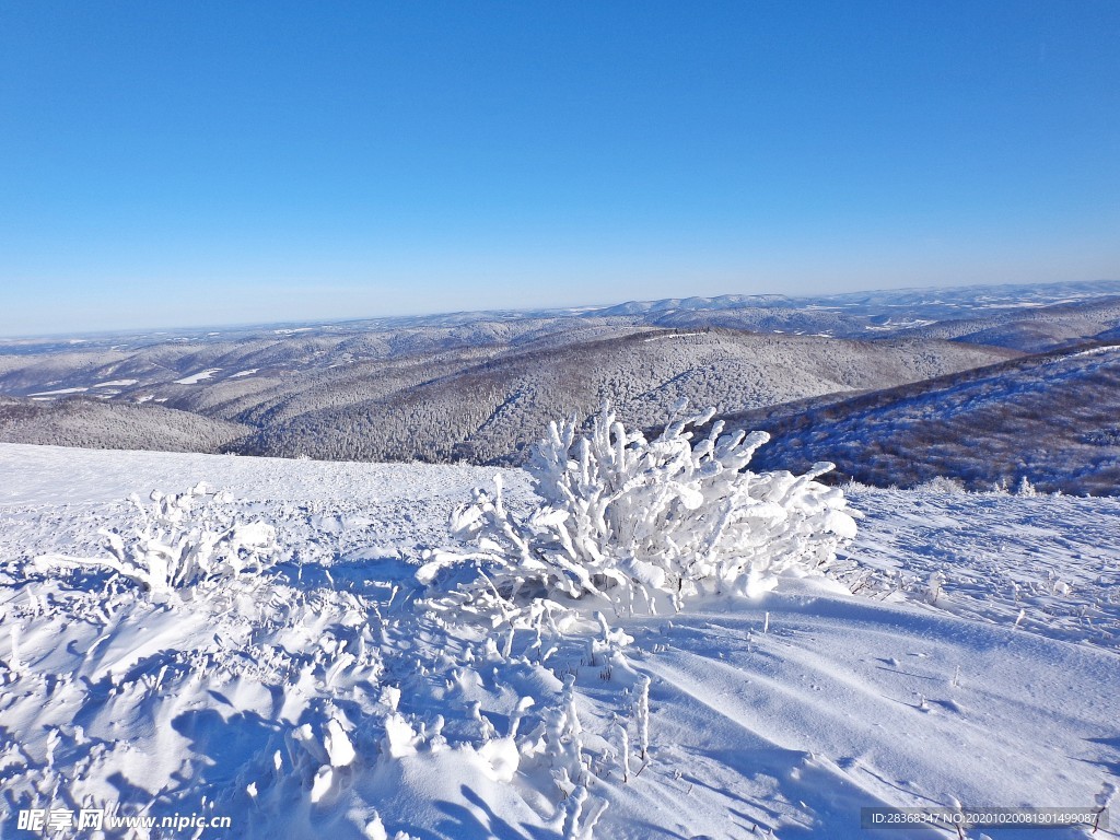 下雪场景