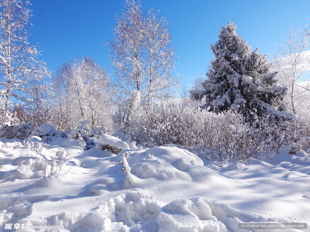 下雪场景