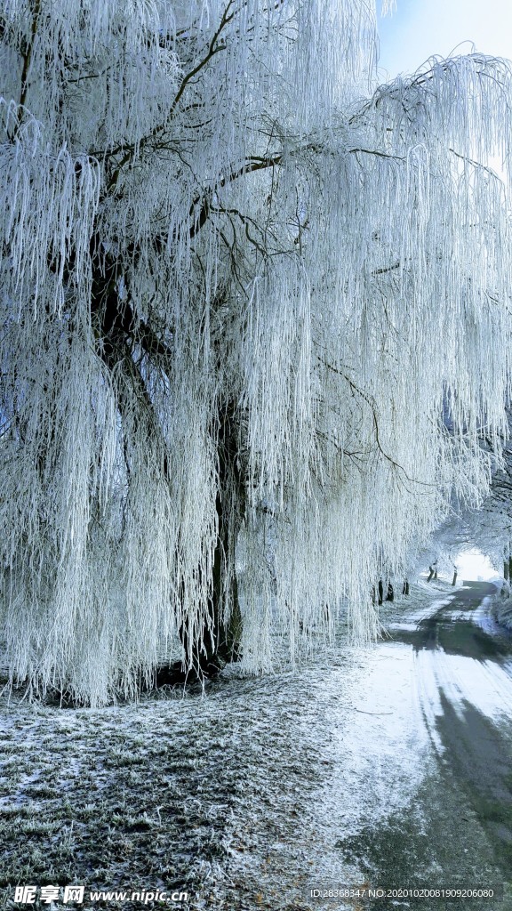 下雪场景