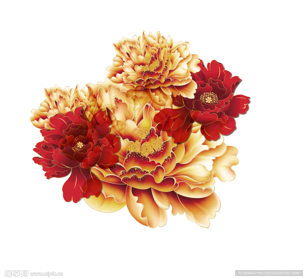 牡丹花