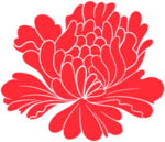 牡丹花
