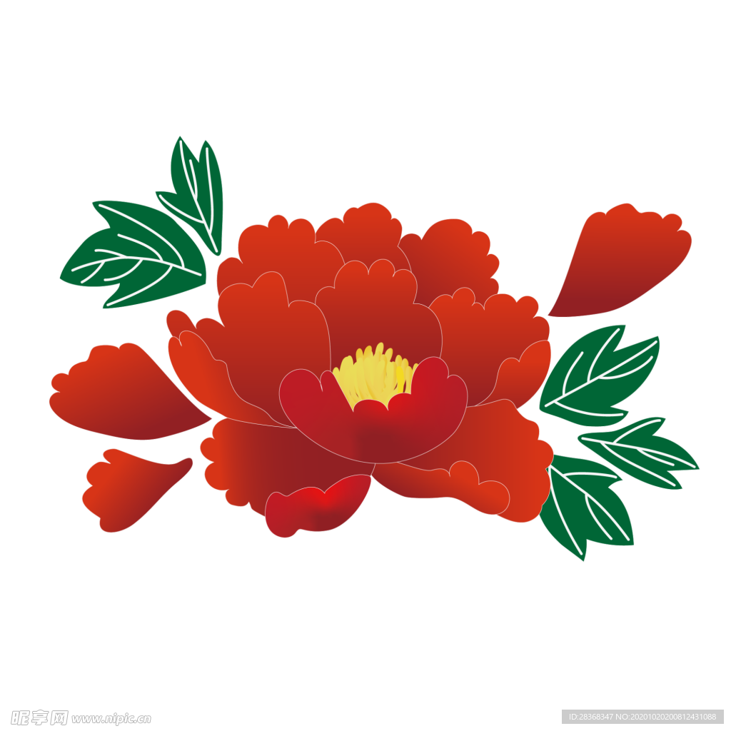 牡丹花