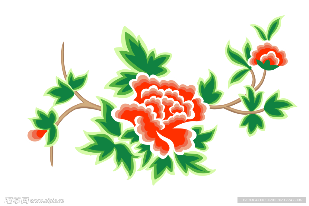 牡丹花
