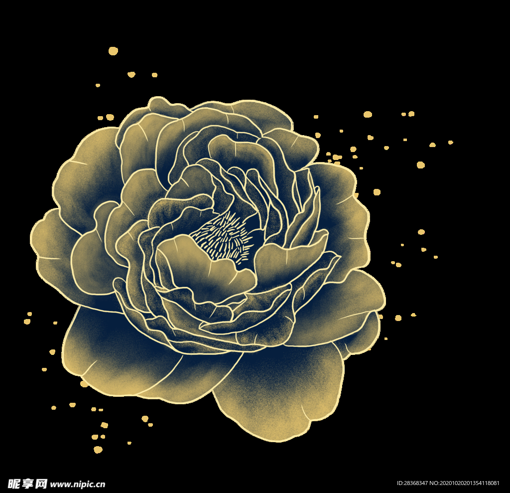 牡丹花