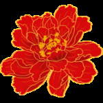 牡丹花