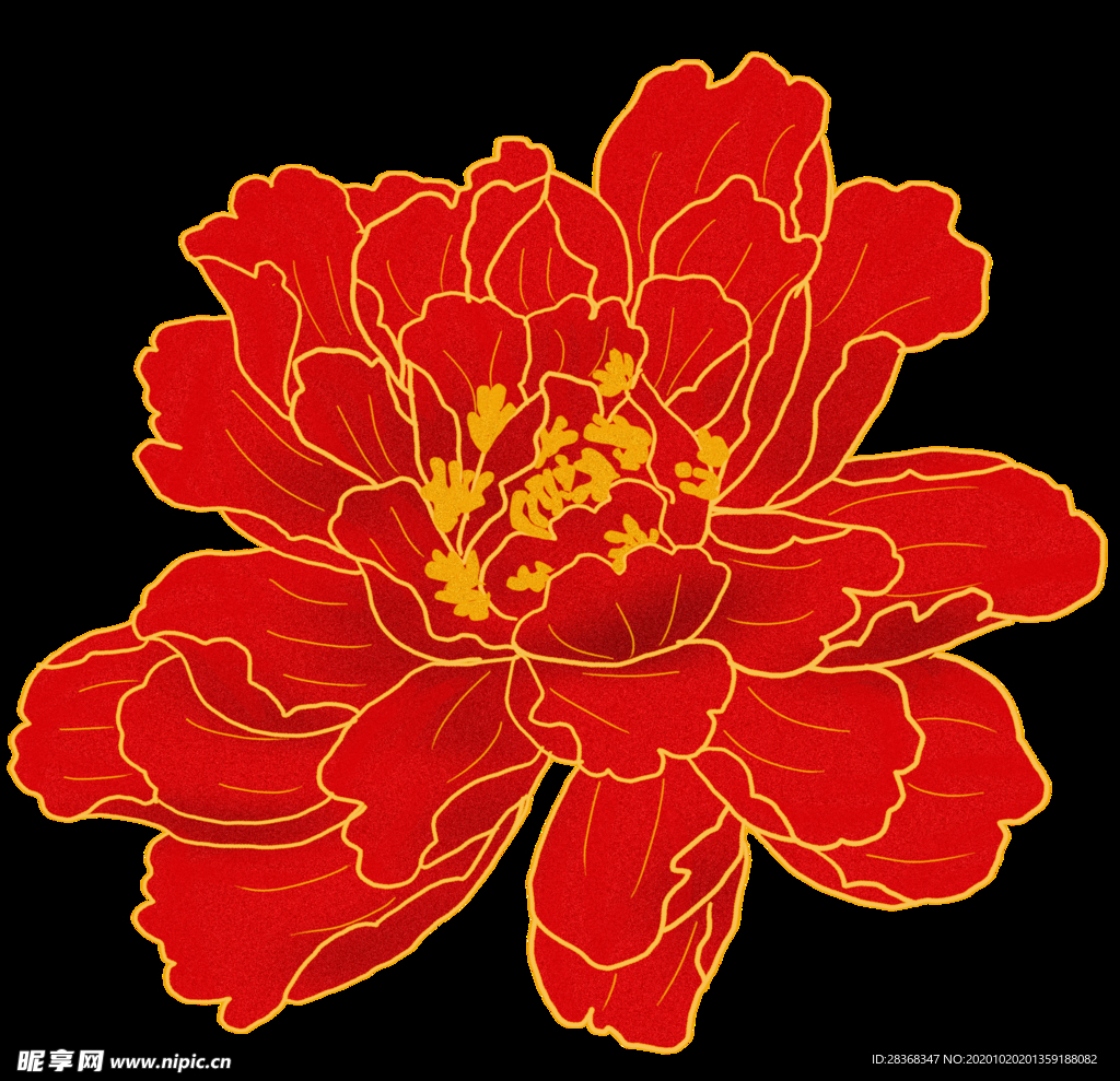 牡丹花