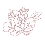牡丹花