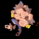 牡丹花