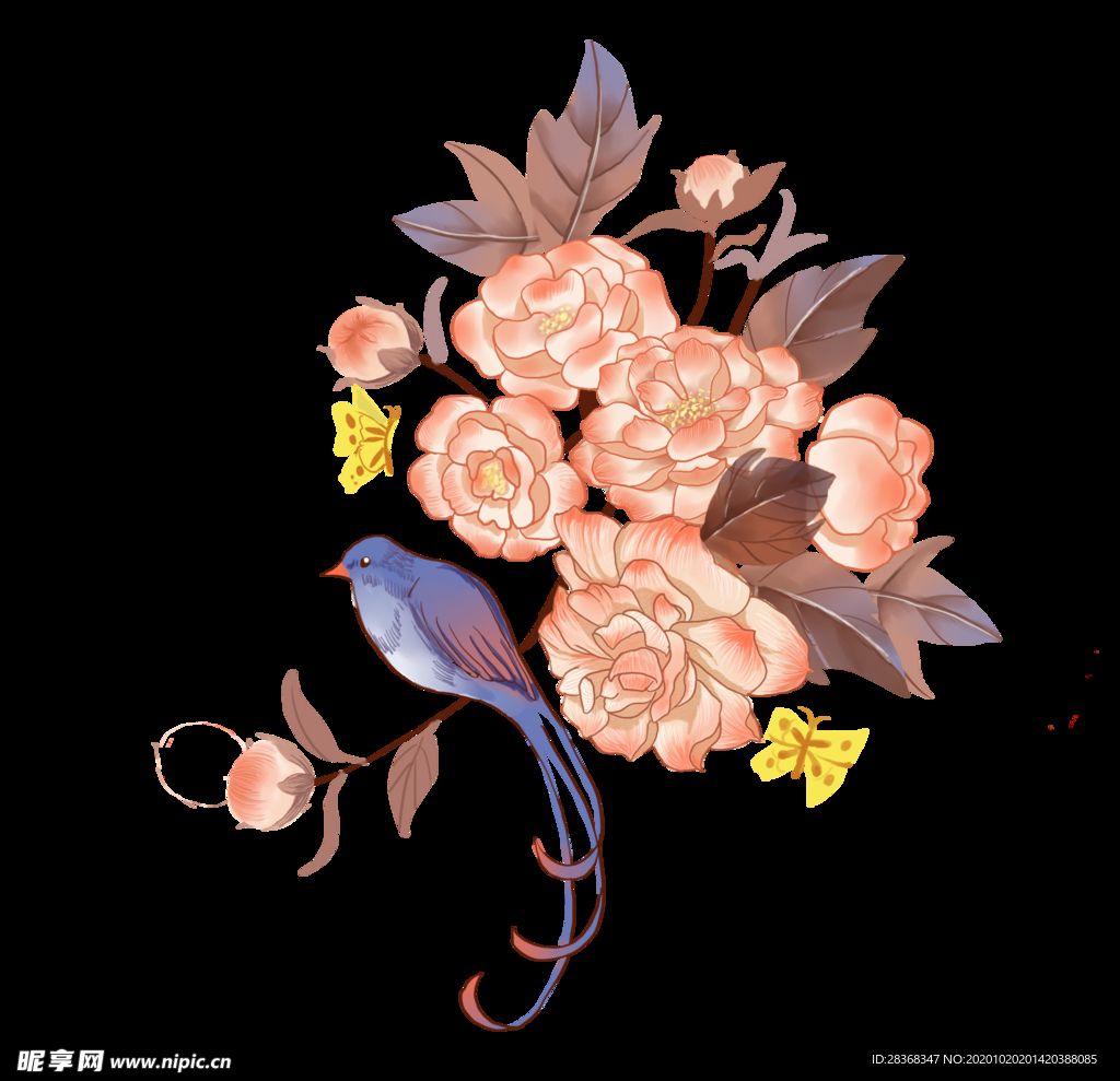 牡丹花