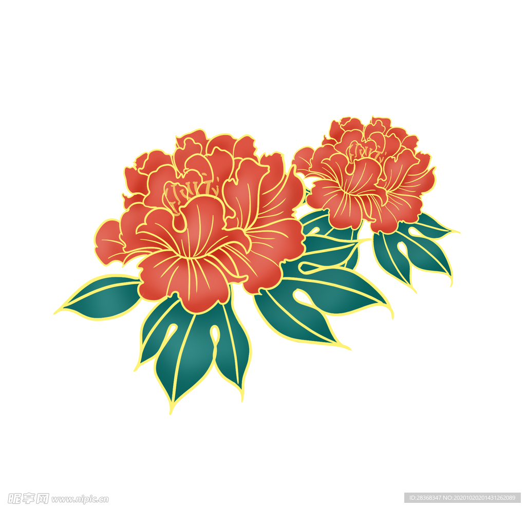 牡丹花