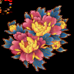 牡丹花