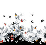 蝴蝶花 手绘花 黑白花