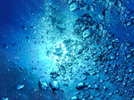 水