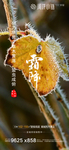 霜降 寒露 地产微信稿