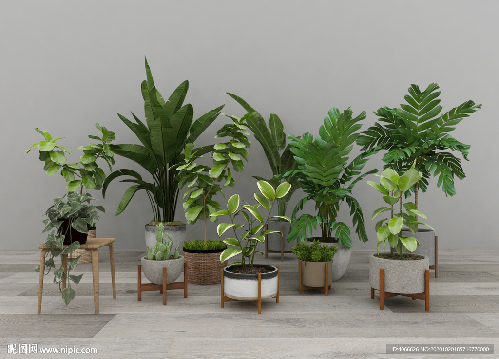 绿植盆栽3d模型