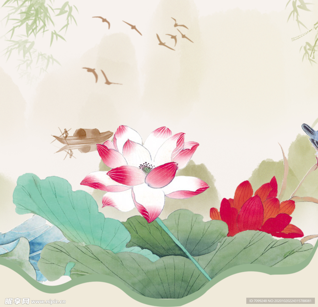 国画荷花