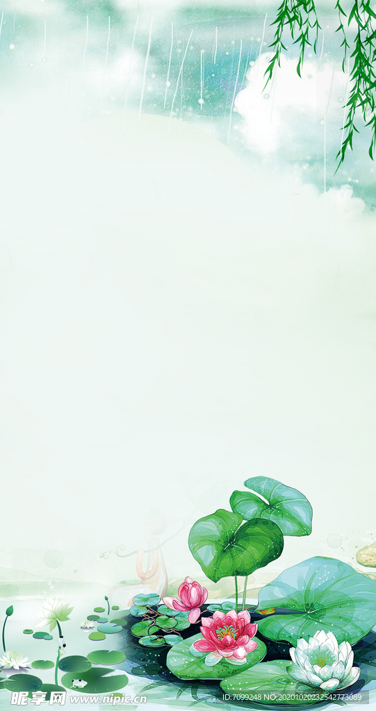 国画荷花
