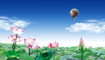 国画荷花