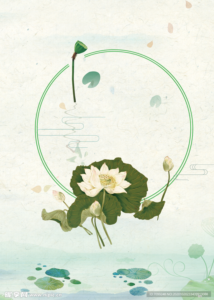 国画荷花