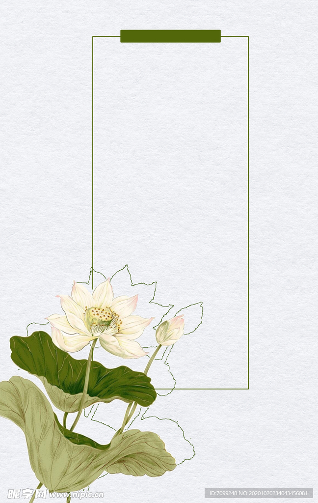 国画荷花